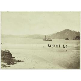 Stewart Island from Codfish Island