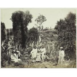 Followers of Te Maiharoa