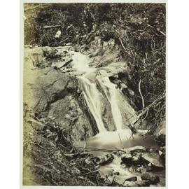 Waterfall, Thames, Auckland