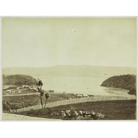 Dunedin from Andersons Bay