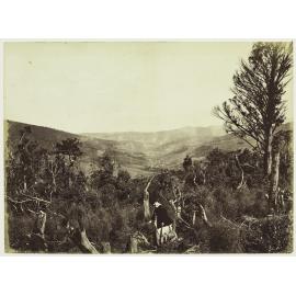 Dunedin from North East Valley