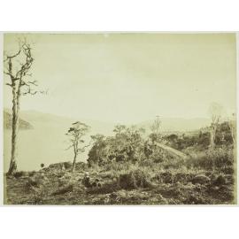 On the Port Chalmers Road