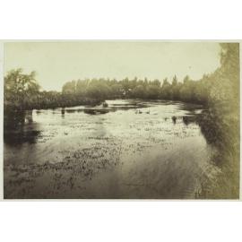 Balruddery Station pond