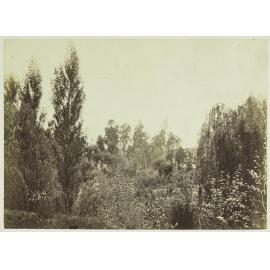 Balruddery Station garden