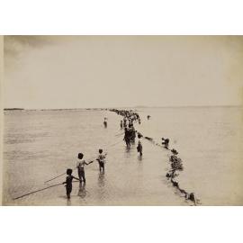 Fishing on the reef - High Tide