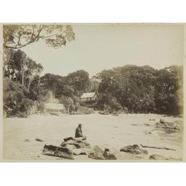 Ulva, Stewart Island