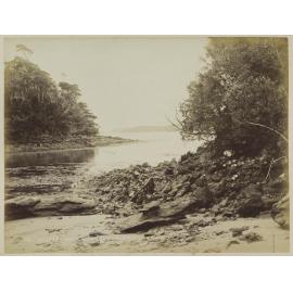 Golden Bay, Paterson Inlet, Stewart Island