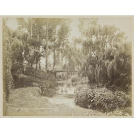 Botanical Gardens, Dunedin