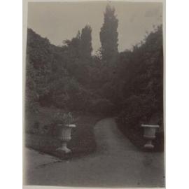 The Garden