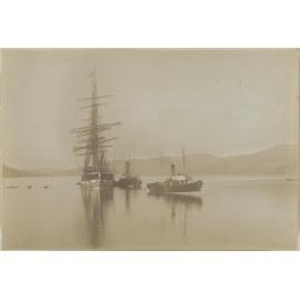 Coming into the Wharf, Dunedin