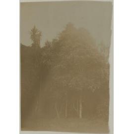 In Cranmore Lodge grounds