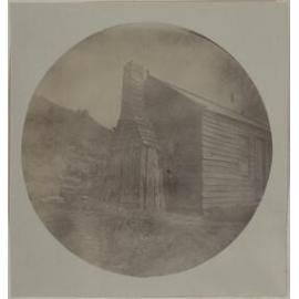 Karetai house