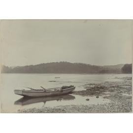 At Catlins