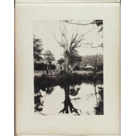 Geddes's Landing, Catlins River