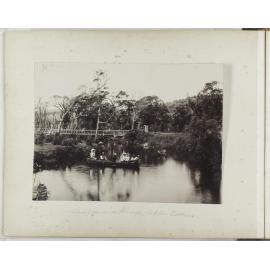 Suspension bridge, Upper Catlins