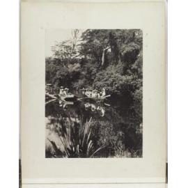 On Upper Catlins River