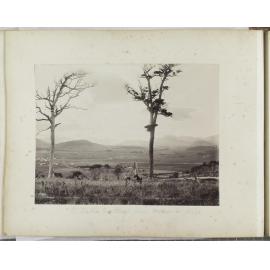 Owaka Valley from Osborne Hill