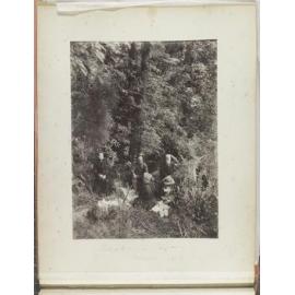 Purakanui River picnic