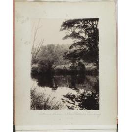 Catlins River, above Bates's landing