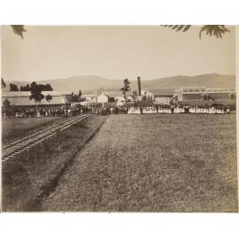 Mosgiel Woollen Factory
