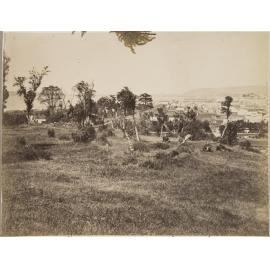 Dunedin from the east