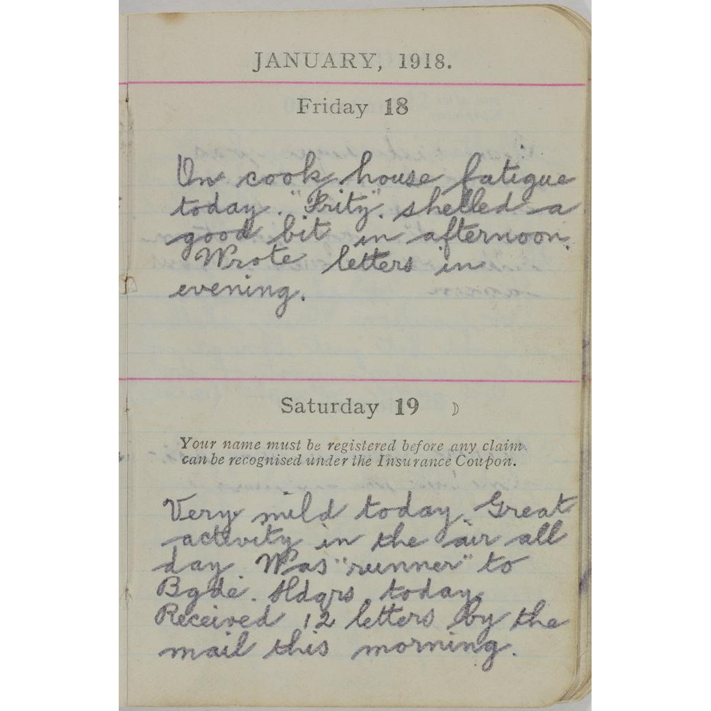 Nelson family : Papers