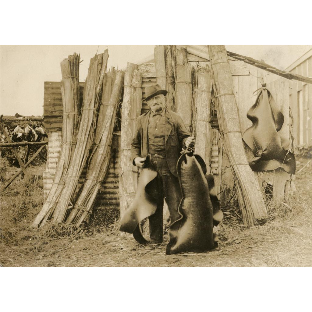 'On and Around Stewart Island, New Zealand' photograph album by George Turner - P2011-007/1