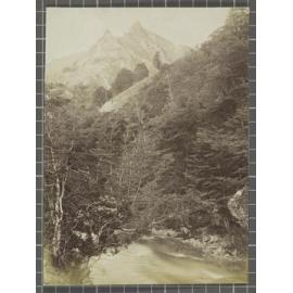 On a tributary of the Shotover River