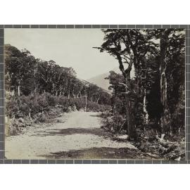 Arthur's Pass, West Coast Road