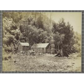 McBride's Hut, at the Greenstone