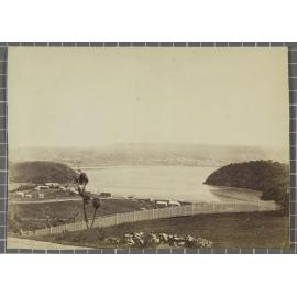 Dunedin