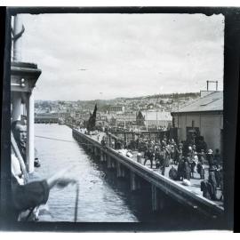 Arrival at Dunedin