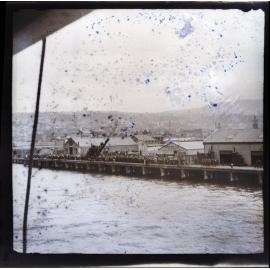 Wharf at Dunedin