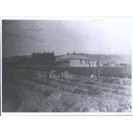 W. R. Currie, Maple Crescent, Clarksville