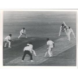 N. Z. vs N.S.W. 1st Innings