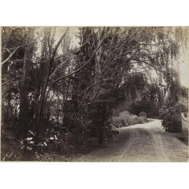 Driveway, Longwood Station