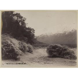 Frost scene, Diamond Lake