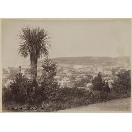 Oamaru, general view