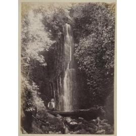 Waterfall Dunedin N.Z.