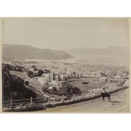 Dunedin from Roslyn