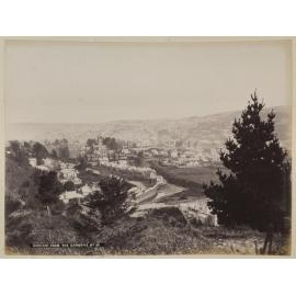 Dunedin from the Gardens
