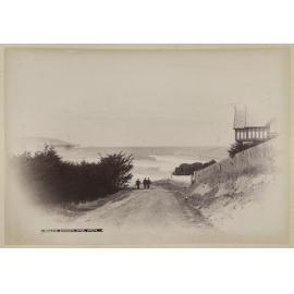 St Clair Dunedin