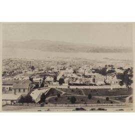 Dunedin from Rosyln