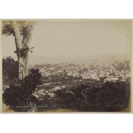 Dunedin from Pine Hill