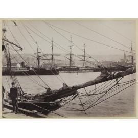 Dunedin wharf