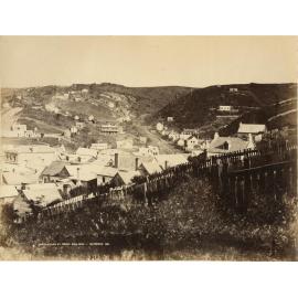 Maclaggan St from Bell Hill, Dunedin