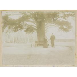 Botanical Gardens, Dunedin