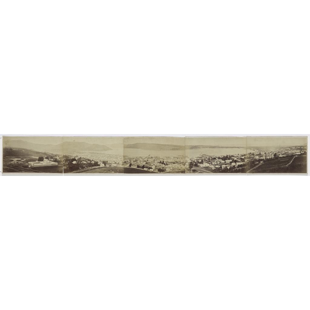 Panorama of Dunedin - P2007-019-003