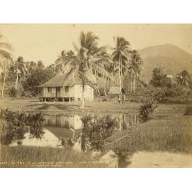 In the Roman Catholic Mission Grounds, Apia, Samoa