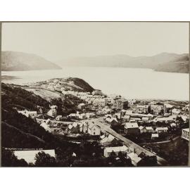 Dunedin from Canongate in 1860